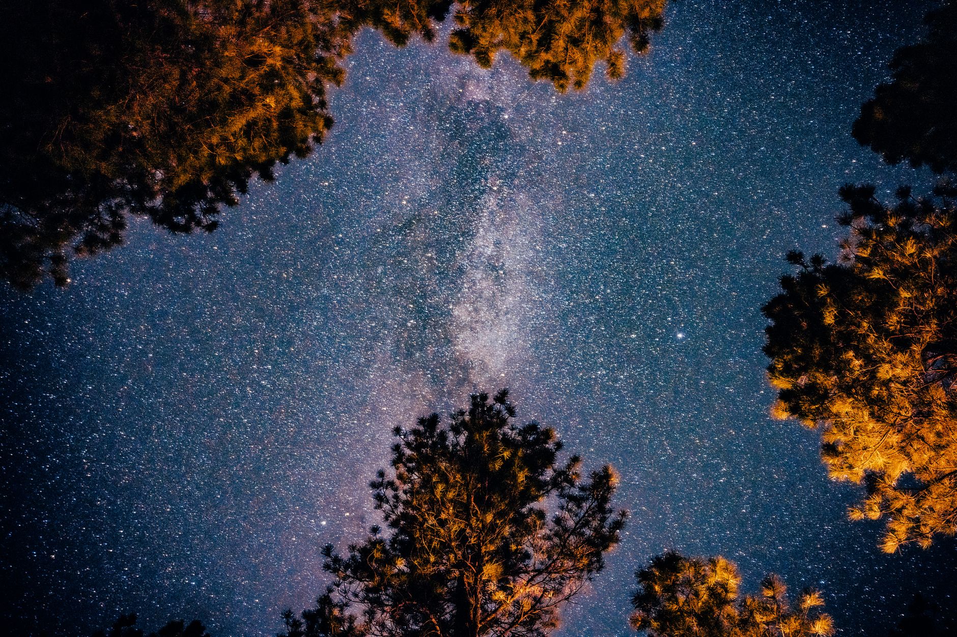stars across the night sky