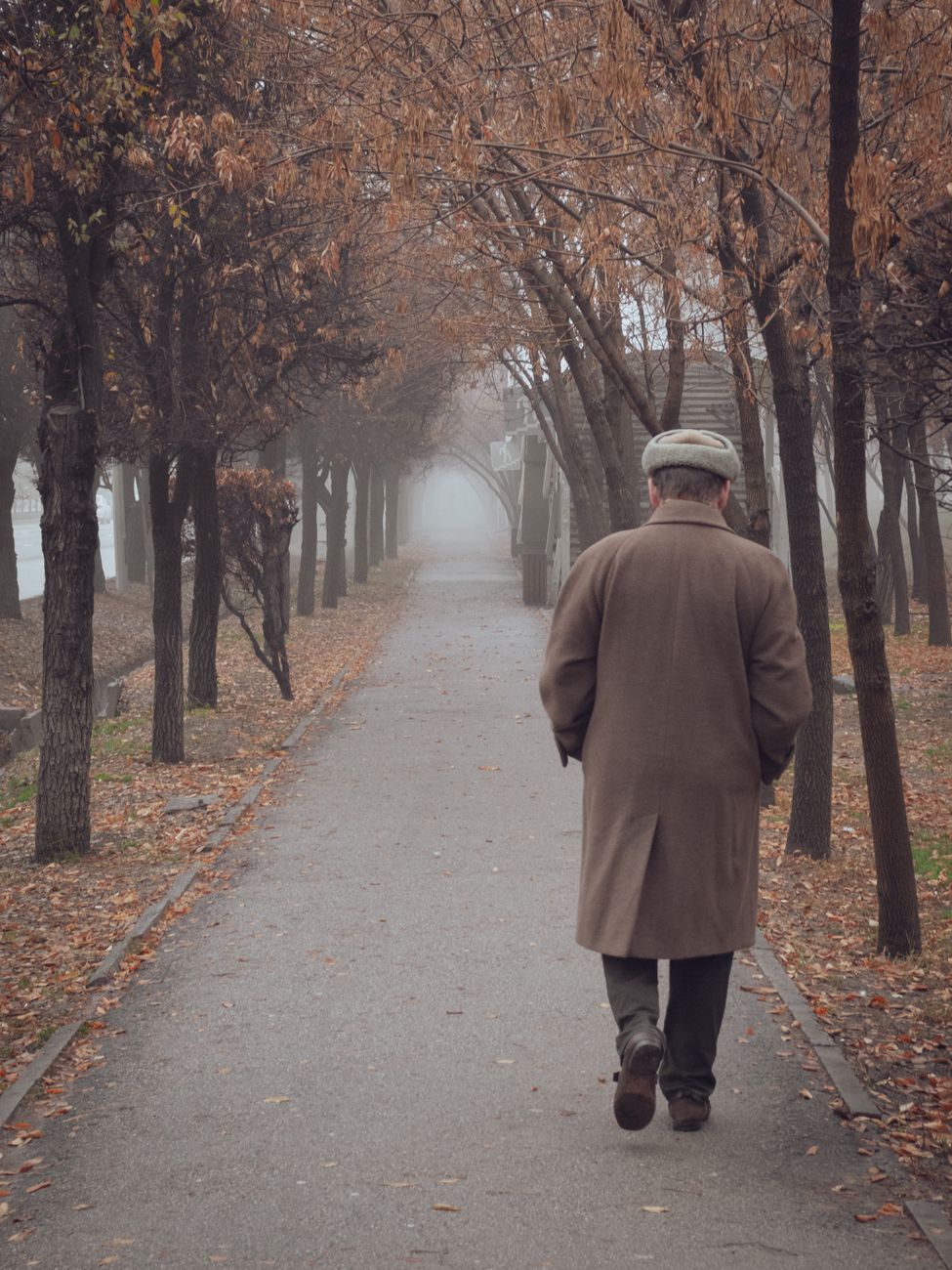 back view of a man in a coat walking on the pathway